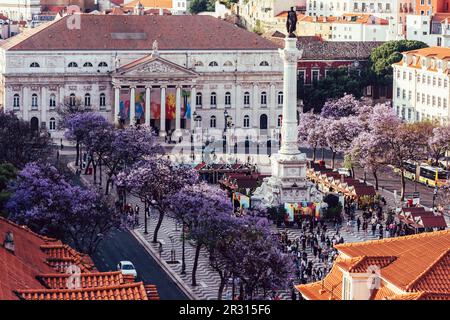 Vue panoramique de la place Rossio dans le quartier Baixa de Lisbonne, Portugal couvert de feuilles violettes de Jacaranda au printemps Banque D'Images