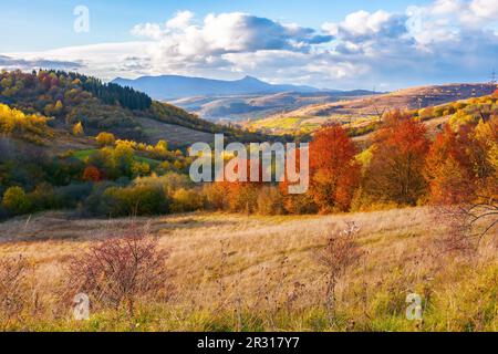 belle vue sur la vallée rurale. paysage d'automne sur un après-midi ensoleillé. nuages au-dessus de la crête lointaine avec un pic élevé Banque D'Images