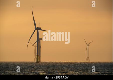 Les ventilateurs des éoliennes tournent au-dessus de la mer étincelante. Un parc éolien offshore au large de la côte nord-ouest de Taïwan. Un de la puissance verte. Banque D'Images