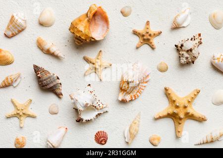 L'été concept Flat Lay composition avec belle étoile de mer et coquillages sur table colorée, vue de dessus. Banque D'Images