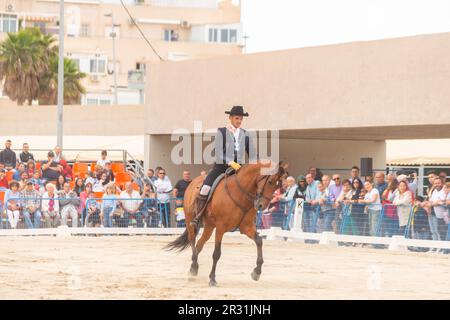 ROQUETAS DE MAR, ESPAGNE - 21 MAI 2023 démonstration de compétences en équitation pendant la compétition de chevaux espagnole Banque D'Images