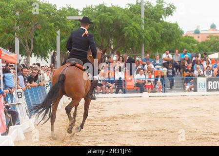 ROQUETAS DE MAR, ESPAGNE - 21 MAI 2023 démonstration de compétences en équitation pendant la compétition de chevaux espagnole Banque D'Images