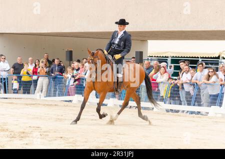 ROQUETAS DE MAR, ESPAGNE - 21 MAI 2023 démonstration de compétences en équitation pendant la compétition de chevaux espagnole Banque D'Images