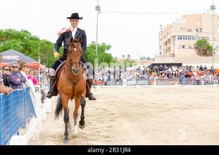 ROQUETAS DE MAR, ESPAGNE - 21 MAI 2023 démonstration de compétences en équitation pendant la compétition de chevaux espagnole Banque D'Images