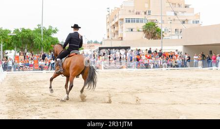 ROQUETAS DE MAR, ESPAGNE - 21 MAI 2023 démonstration de compétences en équitation pendant la compétition de chevaux espagnole Banque D'Images