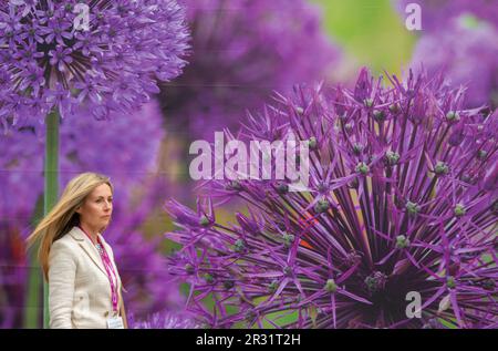 Royal Hospital Chelsea, Londres, Royaume-Uni. 22nd mai 2023. Journée de presse d'ouverture du RHS Chelsea Flower Show (public 23-27 mai), le plus grand spectacle de fleurs du monde. Crédit : Malcolm Park/Alay Live News Banque D'Images