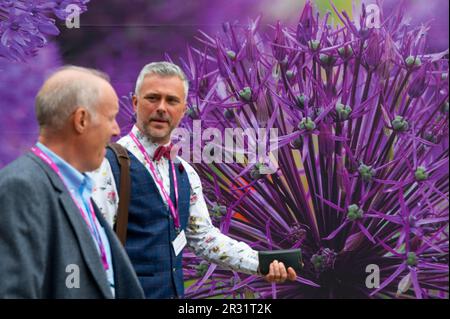 Royal Hospital Chelsea, Londres, Royaume-Uni. 22nd mai 2023. Journée de presse d'ouverture du RHS Chelsea Flower Show (public 23-27 mai), le plus grand spectacle de fleurs du monde. Crédit : Malcolm Park/Alay Live News Banque D'Images
