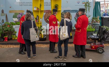 Royal Hospital Chelsea, Londres, Royaume-Uni. 22nd mai 2023. Journée de presse d'ouverture du RHS Chelsea Flower Show (public 23-27 mai), le plus grand spectacle de fleurs du monde. Crédit : Malcolm Park/Alay Live News Banque D'Images