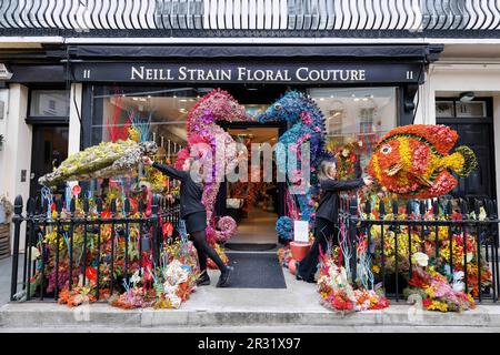USAGE ÉDITORIAL SEULS les Floristes de Neill Strain Floral Couture ont mis la touche finale à une installation florale sur la fenêtre de son magasin sur West Halkin Street à Londres, qui a été conçu pour le festival Belgravia in Bloom, en cours de 22-29 mai, Londres. Date de la photo: Lundi 22 mai 2023. Banque D'Images