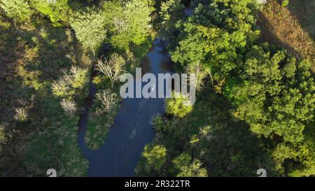 Vue à l'œil du drone : canoë qui glisse le long d'une rivière sinueuse, embrassée par des arbres verts luxuriants. Sérénité et harmonie de la nature capturées d'en haut. Banque D'Images