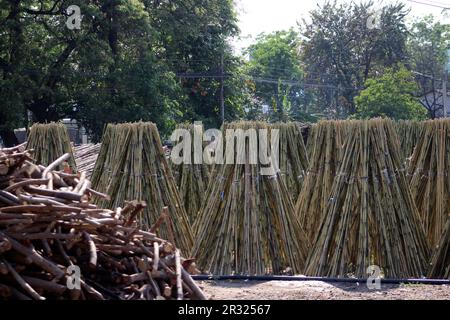 Piles de cannes en bambou séchant au soleil prêt pour l'expédition près de Kanchanaburi, Thaïlande Banque D'Images