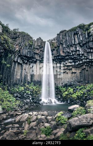 Cascade pittoresque de Svartifoss en été, Islande Banque D'Images