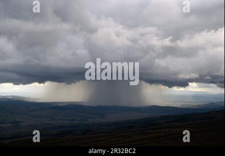 Tromba de agua sobre la sabana. Gran Sabana. Estado de Bolivar. Venezuela. Banque D'Images