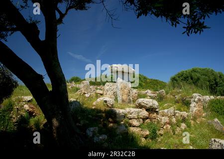 Taula de Sa Torreta (Torre Blanca).Parc naturel de s'Albufera des Grau.Menorca.Reserva de la Bioesfera.Illes Balears.España. Banque D'Images