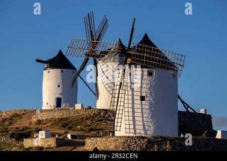 Molinos de Consuegra, Cerro Calderico, Consuegra, provincia de Tolède, Castille la Manche, Espagne. Banque D'Images