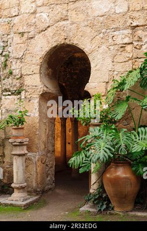 baños árabes, - Banys Àrabs - portail de arco de herradura , siglo X, Palma, Majorque, islas baleares, españa, europa. Banque D'Images