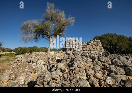 Talayot circulaire, conjunto de Capocorb Vell, prehistórico principios del primer milenio a. C. (Edad de Hierro), Monumento Histórico Artístico, Palma, Majorque, îles Baléares, Espagne. Banque D'Images