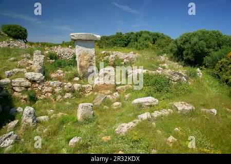 Taula de Sa Torreta (Torre Blanca).Parc naturel de s'Albufera des Grau.Menorca.Reserva de la Bioesfera.Illes Balears.España. Banque D'Images