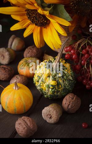 Encore la vie en couleurs de l'automne Banque D'Images