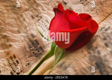 Notes anciennes Banque D'Images