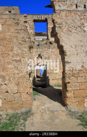 La photo montre les ruines de l'ancien palais-domaine des Dubetsky-Pankeyevs appelé le Wolf's Lair dans la région d'Odessa, le village de Vasilyevka. Banque D'Images