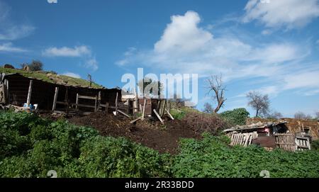 Abandon et effondrement de la ferme animale dans le champ. Endroits désertés Chypre Banque D'Images