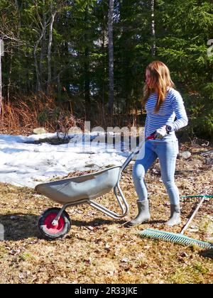 Femme tirant une brouette pleine de feuilles Banque D'Images