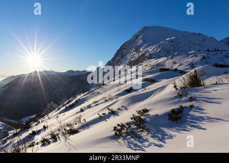 Mont Schneibstein en hiver Banque D'Images