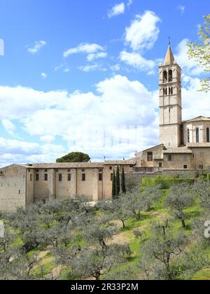 Cathédrale d'Assise, Ombrie, Italie Banque D'Images