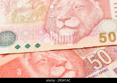 Argent sud-africain 50 rand banknote. Banque D'Images