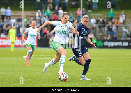 Stockholm, Suède. 22nd mai 2023. Stockholm, Suède, 22 mai 2023: Emma Westin (23 Hammarby) et Olivia Schough (22 FC Rosengard) dans une bataille pour le ballon pendant le match dans la Ligue suédoise OBOS Damallsvenskan sur 22 mai 2023 entre Hammarby IF et FC Rosengard à Hammarby IP à Stockholm, Suède (Peter Sonander/SPP) crédit: SPP Sport presse photo. /Alamy Live News Banque D'Images
