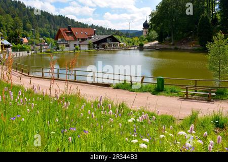 Triberg dans la Forêt Noire Banque D'Images