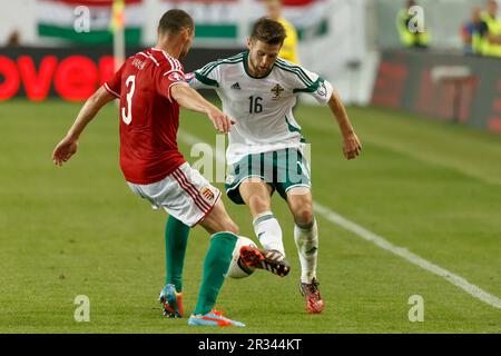 Hongrie contre Irlande du Nord UEFA Euro 2016 qualification football M. Banque D'Images