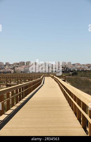 Nouvelle promenade sur la plage de Meia Praia, Lagos, Algarve, Portugal Banque D'Images