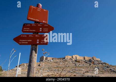 camino del CID, Senda del Duero, Gormaz, Soria, Comunidad Autónoma de Castilla, Espagne, Europe. Banque D'Images