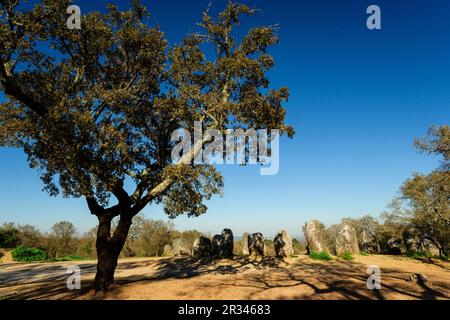 Dos Almendres Cromlech,neolitico antiguo -Alto das Pedras- Talhas, Nossa Senhora de Guadalupe,Valverde, Evora, Portugal, Alentejo, Europa. Banque D'Images