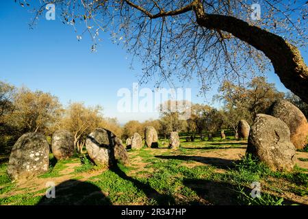 Dos Almendres Cromlech,neolitico antiguo -Alto das Pedras- Talhas, Nossa Senhora de Guadalupe,Valverde, Evora, Portugal, Alentejo, Europa. Banque D'Images