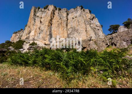 Ruta del rio Borosa, tuneles de la central electrica del salto de Los Organos, Parque Natural sierras de Cazorla, Segura y Las Villas, Jaén, Andalousie, espagne. Banque D'Images