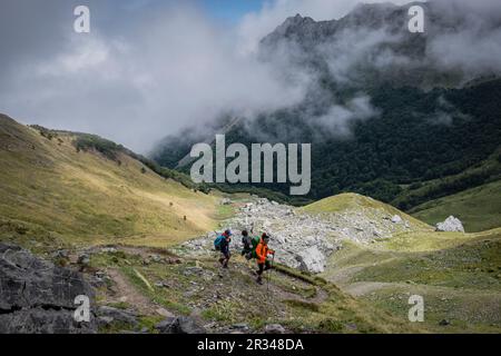 Cabañas de Ansabere, región de Aquitaine, departamento de Pirineos Atlánticos, Francia. Banque D'Images