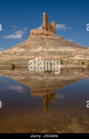 Castillo de Montuenga de Soria, Castillo de los Padilla, Montuenga de Soria, Comarca de Arcos de Jalón, Soria, Comunidad Autónoma de Castilla y León, Espagne, Europe. Banque D'Images