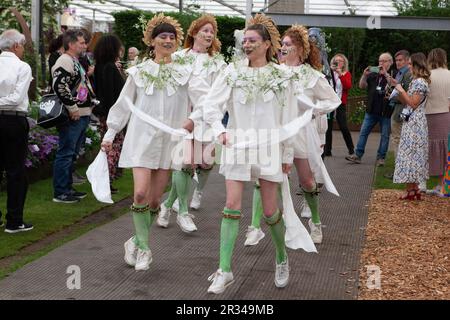 Londres, Royaume-Uni. 22nd mai 2023. Une troupe féminine de danseuses morris, Boss Morris, a joué des danses traditionnelles au Chelsea Flower Show. Credit: Anna Watson/Alay Live News Banque D'Images