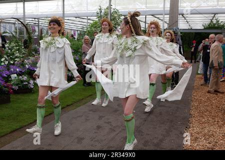 Londres, Royaume-Uni. 22nd mai 2023. Une troupe féminine de danseuses morris, Boss Morris, a joué des danses traditionnelles au Chelsea Flower Show. Credit: Anna Watson/Alay Live News Banque D'Images