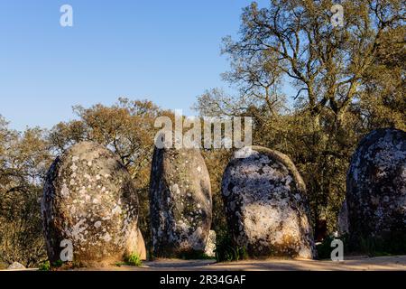 Dos Almendres Cromlech,neolitico antiguo -Alto das Pedras- Talhas, Nossa Senhora de Guadalupe,Valverde, Evora, Portugal, Alentejo, Europa. Banque D'Images