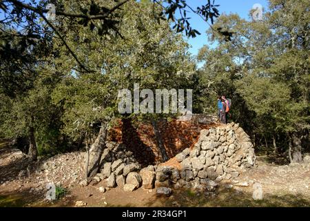 Horno para tradicional fabricacion de cal, Mola de son Pacs, Valldemossa, Majorque, Iles Baléares, Espagne. Banque D'Images