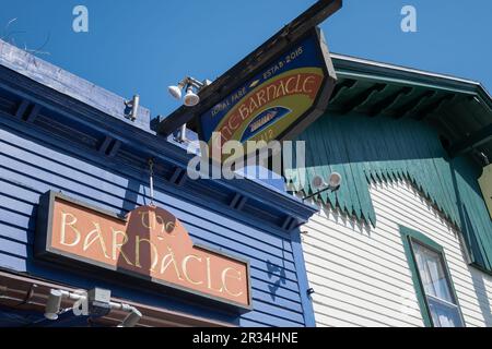 Panneau pour le Barnacle pub et bar à huîtres à Bar Harbor, Maine, USA. Banque D'Images