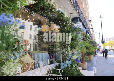 Des installations florales sur le thème de « into the Wild » sur Motcomb et Elizabeth Streets pour Belgravia à Bloom 2023, pour coïncider avec le Chelsea Flower Show, dans le sud-ouest de Londres, au Royaume-Uni Banque D'Images