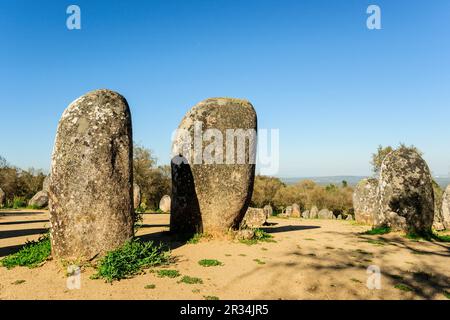 Dos Almendres Cromlech,neolitico antiguo -Alto das Pedras- Talhas, Nossa Senhora de Guadalupe,Valverde, Evora, Portugal, Alentejo, Europa. Banque D'Images