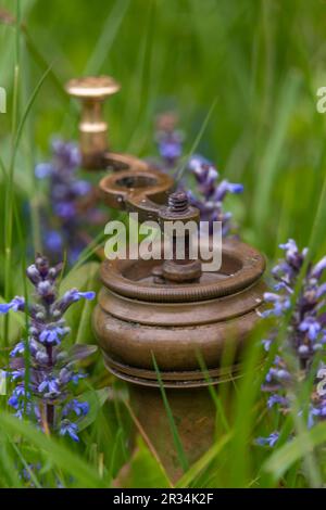 Ancien moulin à café en métal doré dans de l'herbe fraîche de printemps verte Banque D'Images