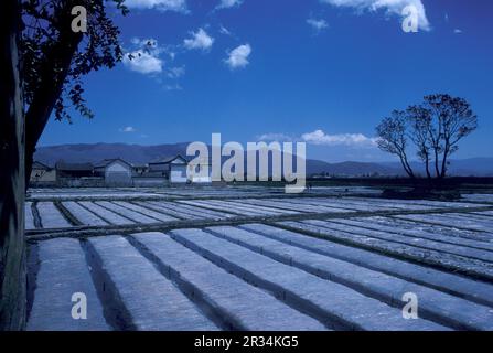 agriculture et paysage à la ville de Dali sur le lac ER Hai dans la province du Yunnan en Chine en Asie de l'est. Chine, Yunnan, avril 1996 Banque D'Images