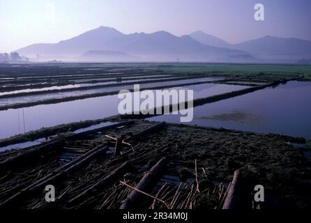 agriculture et paysage à la ville de Dali sur le lac ER Hai dans la province du Yunnan en Chine en Asie de l'est. Chine, Yunnan, avril 1996 Banque D'Images